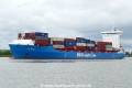 BG Blue (OK-020724-1).jpg