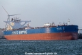 Xin Lian Yang SH-090219-01.jpg