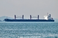 Bulk Prudence OS-231024-01.jpg