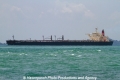 Washusan (MM-230211-1).jpg