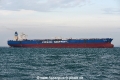 Xin Tong Yang OS-061019-06.jpg