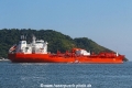 Bow Cardinal RV-170416-01.jpg