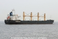 Atlantic Daisy JG-040312-03.jpg