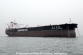 Yangtze Diamond OS-140912-04.jpg