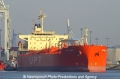 Cape Bird (051103-21).jpg