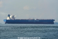 Xin Mao Yang OS-231018-09.jpg