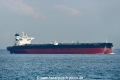 V. Excellence OS-031117-05.jpg