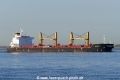 Asiatic (KK-050516-1).jpg