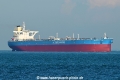 Twin Pollux OS-211024.jpg
