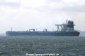 Tokiwa (MS-300722-04).jpg