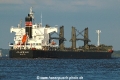 Atlantic Elm TL-170717-5.jpg