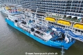 Green Zeebrugge (KB-D111123-01).jpg