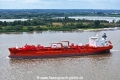 Bow Faith 220723-4.jpg