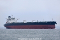 V Trust OS-021117-05.jpg
