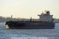 Flagship Privet 131109-01.jpg