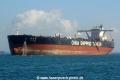 Xin Ning Yang (MS-050117-17).jpg