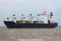 Black Eagle (MM-010518-1).jpg