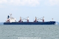 Coral Gem OS-231025-01.jpg