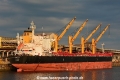 Asiatic (KB-D230619-01).jpg