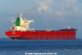 Chow (KK-010917-2).jpg