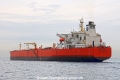 Bunga Kelana 5 OS-221014-13.jpg