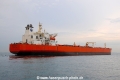 Bunga Kelana 5 OS-221014-07.jpg