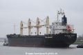 Atlantic Daisy OS-080115-10.jpg