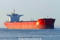 Chow (KK-010917-1).jpg