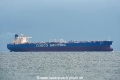 Xin Ning Yang OS-251018-10.jpg