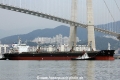 Asian Triumph (MS-130815-05).jpg