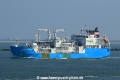 Green Zeebrugge YV-04092021-1.jpg