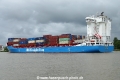 BG Blue (OK-020724-4).jpg