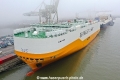 Grande Florida 231220-01.jpg