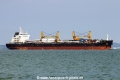 Asia Ruby 3 (MS-250817-03).jpg