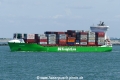 BG Green (MB-240724-4).jpg