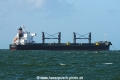 Atlantic Elm OS-170515-09.jpg