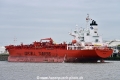 Bow Persistent (KB-D020523-01).jpg