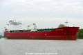 Champion Ebony (OK-160517-0).jpg