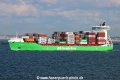 BG Green TL-230325-2.jpg