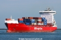 BG Red TL-110824-2.jpg