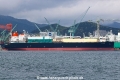 HL Puffin (MS-190425-1).jpg