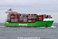 BG Green TL-100824-2.jpg