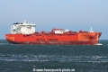 Bow Olympus TL-150423-3.jpg