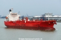 Bow Leopard (MB-250724-6).jpg