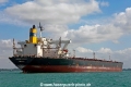 Diamond Warrior (MM-220211-2).jpg