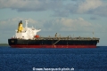 Cepolis (KK-140722-4).jpg