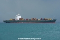 Bomar Fulgent OS-051019-06.jpg
