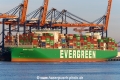 Ever Mercy SH-130125-01.jpg
