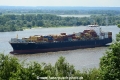 Box Queen 120614-04.jpg