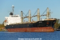 Aurelia (OK-160422-0).jpg